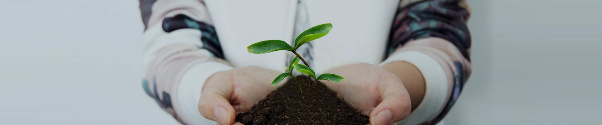 关于9001cc金沙以诚为本