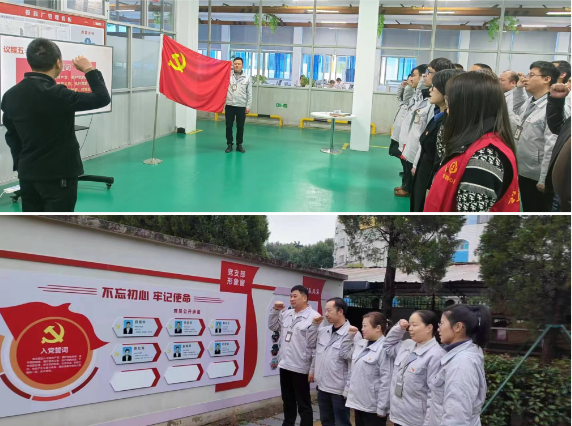 9001cc金沙以诚为本(中国)有限公司官网